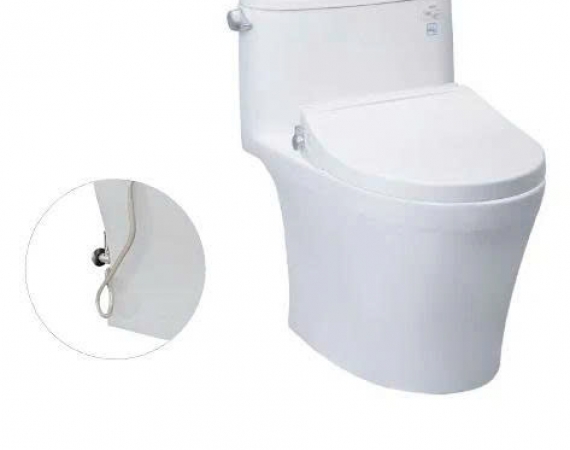 Bồn cầu một khối TOTO MS887RE2