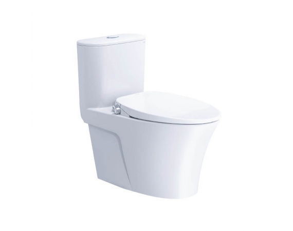 Bồn cầu nắp rửa lạnh CAESAR C1395F + TAF060