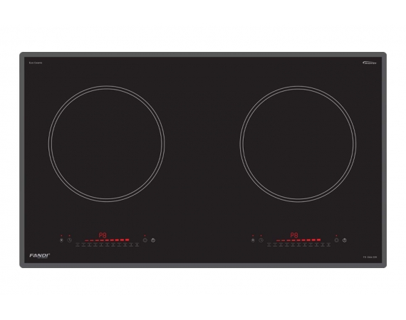 Bếp từ 2 vùng nấu Fandi FD-228I