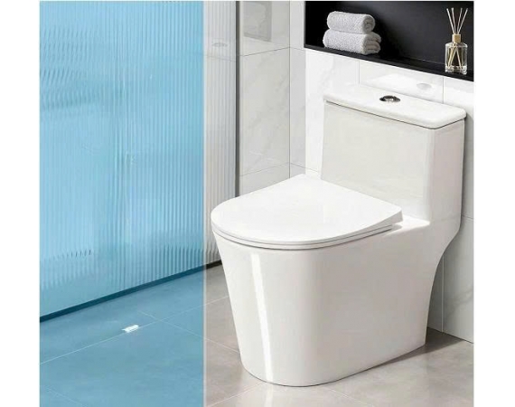 Bồn cầu 1 khối HANJIN HJ-2111