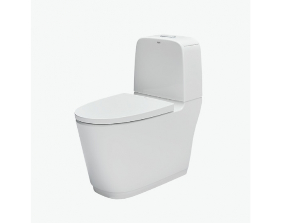 Bàn cầu 2 khối INAX AC-832VN