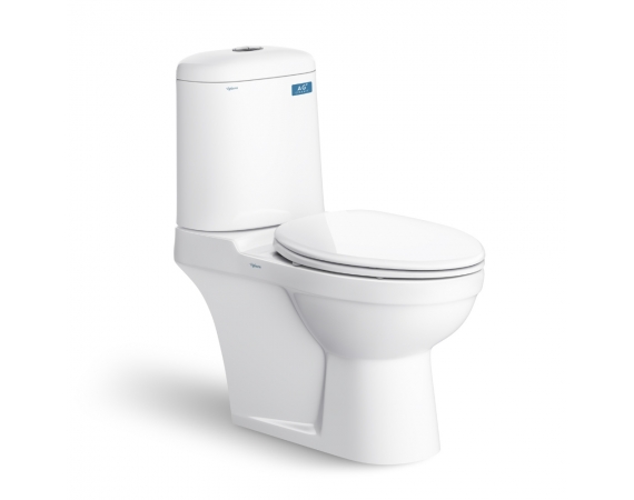 Bồn cầu 2 khối Viglacera VI107