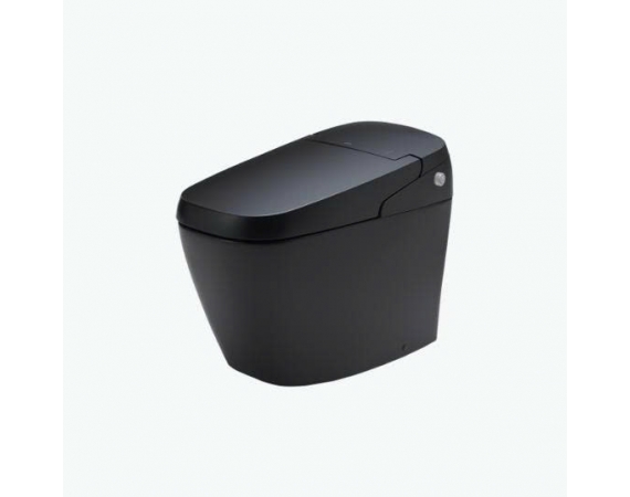 Bồn cầu màu đen INAX AC-G216VN/BKG