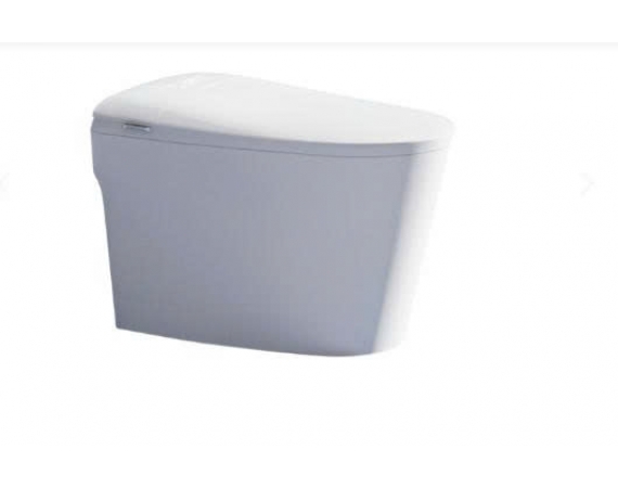 BỒN CẦU THÔNG MINH H-BS2468 PRO