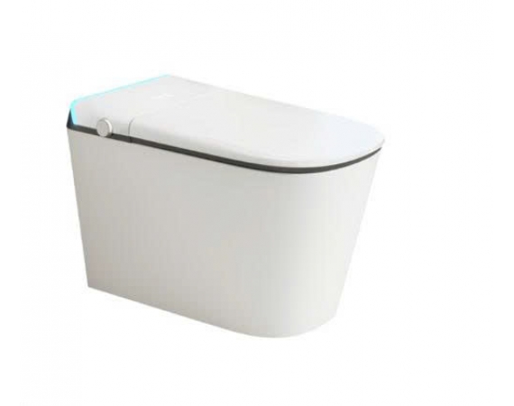 BỒN CẦU THÔNG MINH H-BS2488 PRO