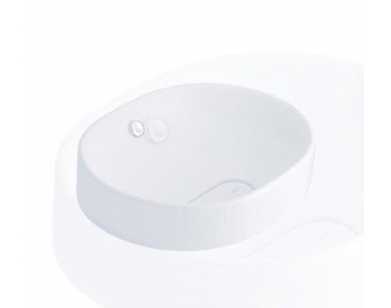 C00257 Chậu đặt trên bàn