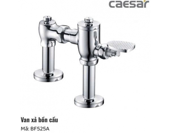 Bộ xả gạt tay bồn cầu Caesar BF525A
